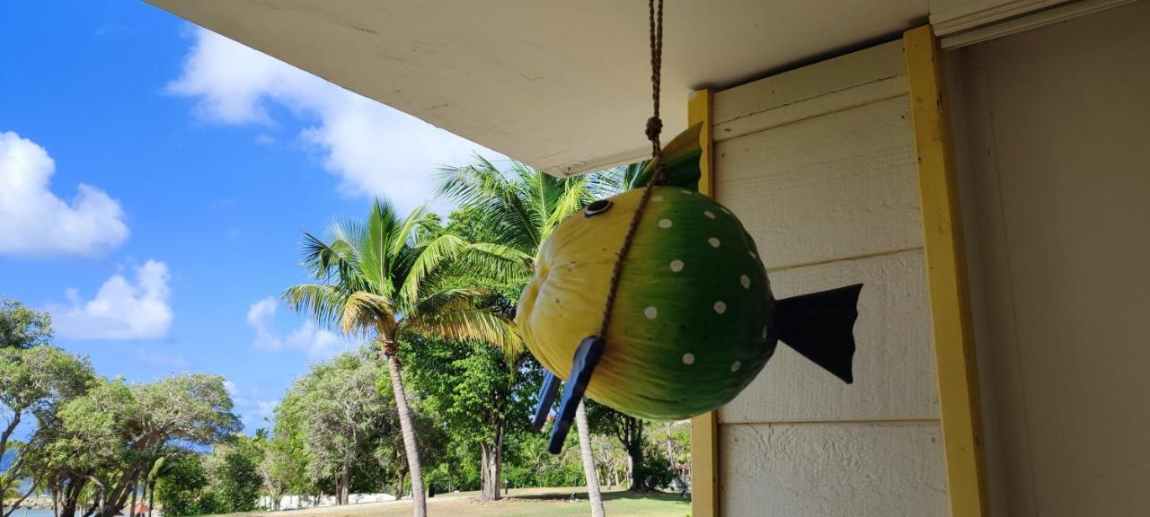 Studio Vue Mer Guadeloupe サンタンヌ エクステリア 写真